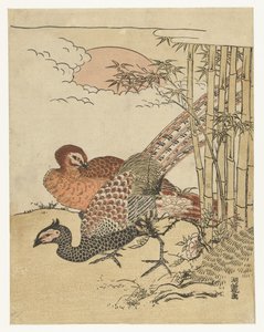 Couple de faisans près de bambous et soleil levant - Isoda Koryusai
