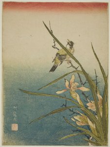 Orchidée et oiseau - Isoda Koryusai