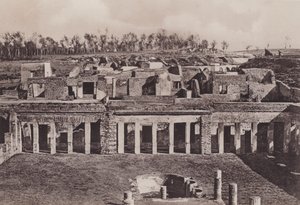 Maison de Diomède - Italian Photographer