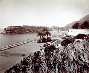 Panorama de Montecarlo. Au premier plan, végétation dense de plantes d