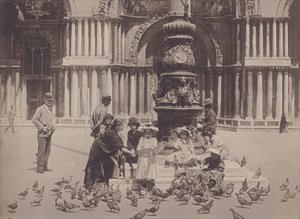 Piccioni (photo n/b) - Italian Photographer