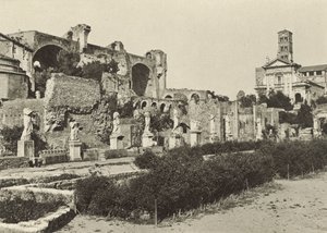 Forum romain, basilique de Constantin, temple de Romulus et maison des Vestales - Italian Photographer
