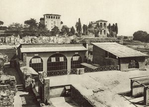 Le Palatin, maison de Livie - Italian Photographer