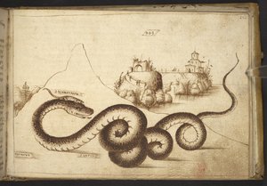 Un serpent (