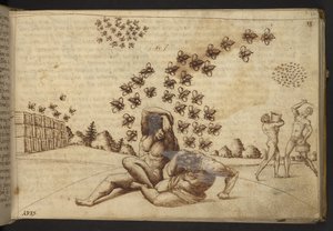 Add. 82955, f.60 Abeilles (