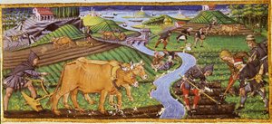 Agriculture au début du 15ème siècle. Biblioteca Ricciardiana, Florence. - Italian School