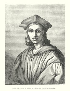Andrea del Sarto, D