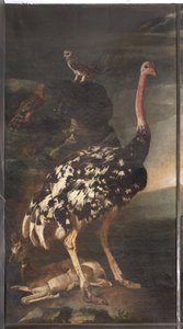 Animaux, Mythe d