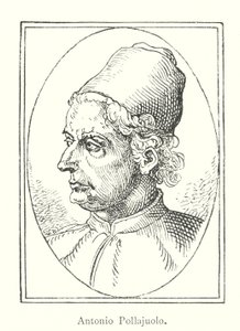 Antonio Pollajuolo - Italian School