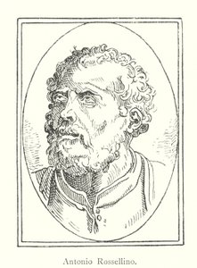 Antonio Rossellino - Italian School