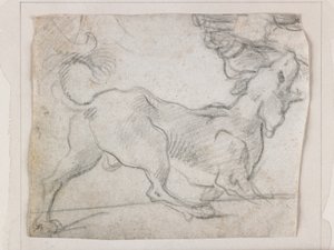 Chien aboyant, vu de derrière