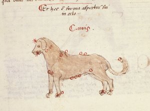 Constellation du chien (Canis). Miniature de 