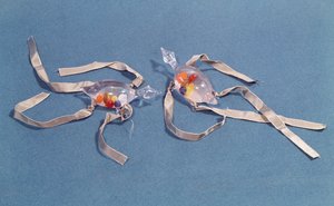 Copie de deux thermomètres médicaux du Museo di Storia della Scienza à Florence