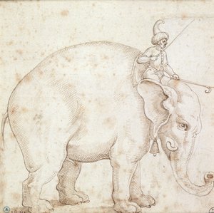 Éléphant Hanno et son cornac
