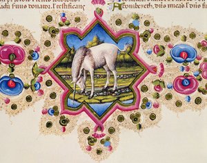 Fol.245V Une licorne, de la Bible Borso d