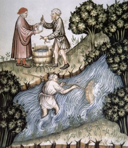 Pêche, illustration du Tacuinum Sanitatis Codex Vindobonensis - Italian School