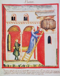 Vinaigre, illustration du Tacuinum Sanitatis Codex Vindobonensis