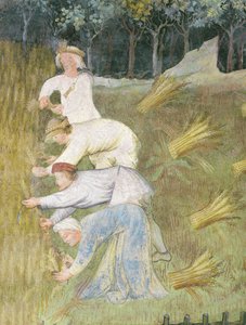 Récolte de blé (détail)