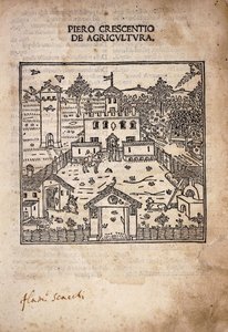 Page de titre illustrée de 