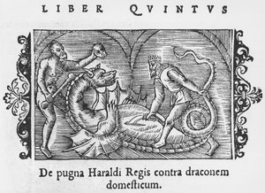 Le roi Harald combattant un dragon, illustration de Historia de Gentibus Septentrionalibus par Olaus Magnus (1490-1558), publié à Rome, 1555