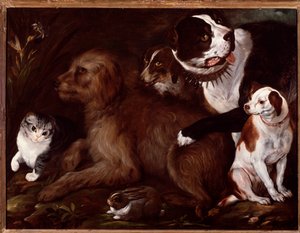 Chiens Médicis, avec un chat et un lapin de l