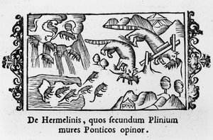 Migration des lemmings, de 