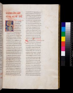 Ms 143. Grégoire le Grand, Registrum Epistolarum, f.8r. Initiale décorée [S] avec remplissage de feuilles de vigne blanches et fleurons