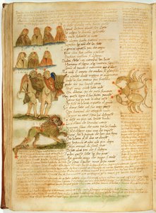 Gémeaux, Lion et Cancer, du 