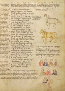 Ms Italien 87 fol.171 (illustration des signes astrologiques, de 