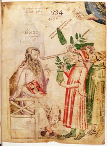 Ms Lat 6823 fol.1 Hommes présentant des plantes à un homme inconnu, de De Herbis par Manfredus de Monte Imperiali - Italian School