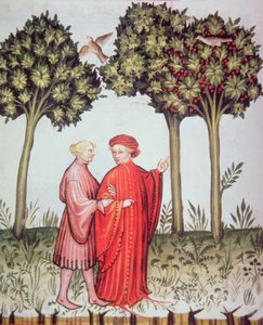 Deux amis en promenade ensemble, de Tacuinum Sanitatis Codex Vindobonensis - Italian School