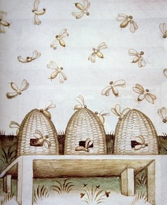 Ruches, de Tacuinum Sanitatis - Italian School