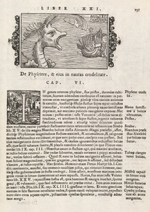 Page 735 de Historia De Gentivus Septentrionalibus par Magnus Olaus, Rome 1565