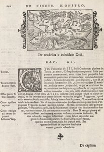 Page 740 de Historia De Gentivus Septentrionalibus par Magnus Olaus, Rome 1565 - Italian School