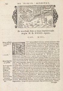 Page 742 de Historia De Gentivus Septentrionalibus par Magnus Olaus, Rome 1565 - Italian School