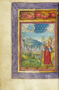 Page d