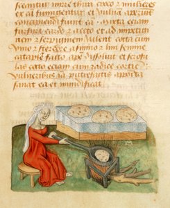 Page du Tractatus de Herbis par Dioscoride Pedanius - Italian School
