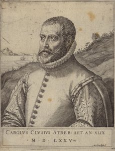 Portrait de Carolus Clusius - Italian School
