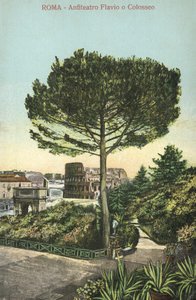 Rome, Italie, Amphithéâtre et Colisée (lithographie couleur)