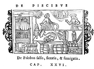 Salage, séchage et fumage du poisson, illustration de Historia de Gentibus Septentrionalibus par Olaus Magnus (1490-1558), publié à Rome, 1555 - Italian School