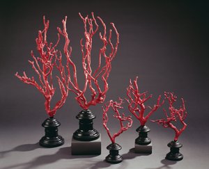 Ensemble de modèles de dessin en bois imitant le corail, de l