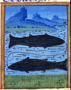 Signe des Poissons. Horoscope italien, milieu du XVe siècle - Italian School
