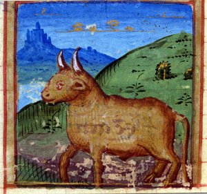 Signe du Taureau. Horoscope italien, milieu du 15ème siècle
