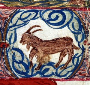 Signe du Capricorne. Horoscope italien datant du milieu du XVe siècle