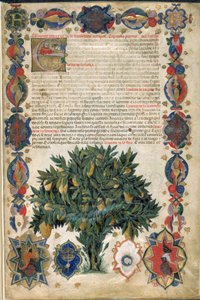 Page de texte avec bordures ornementales, illustration de 