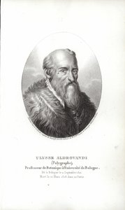 Ulisse Aldrovandi - Italian School