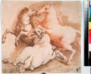 Un combat de chevaux - Italian School