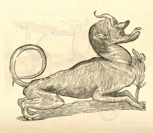 Illustration de Canis monstroso capite de l