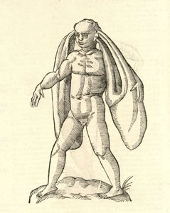 Illustration de Homo Fanesius auritus de l