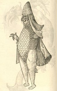 Illustration de Monstrum Marinum rudimenta habitus Episcopi referens de l